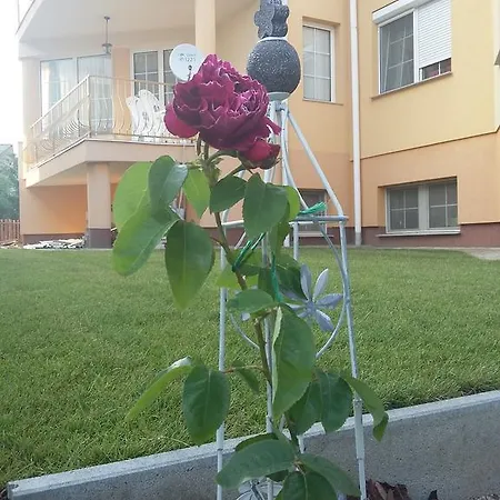 Li-do Vendeghaz * Balatonfüred