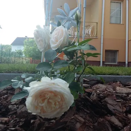 شقة Li-do Vendeghaz