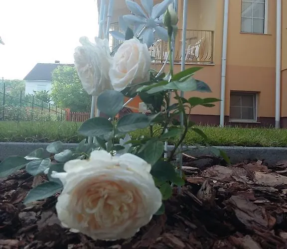 Apartament Li-do Vendeghaz